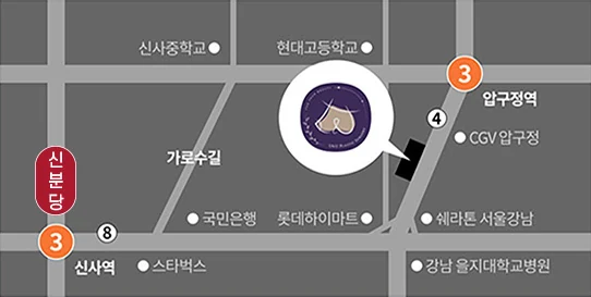Sơ đồ chỉ đường Phòng khám Phẫu thuật Thẩm mỹ U&U — Garosu-gil, gần ga Apgujeong và ga Sinsa