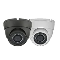 Hai camera CCTV vòm